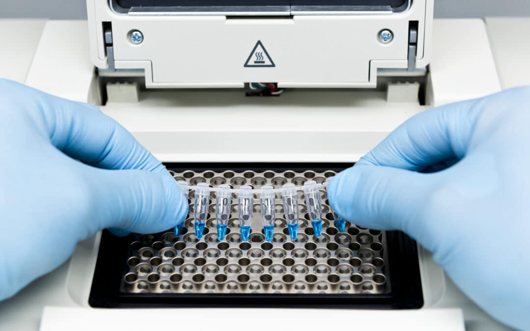 The Impact of Regular Calibration on PCR Machine Performance