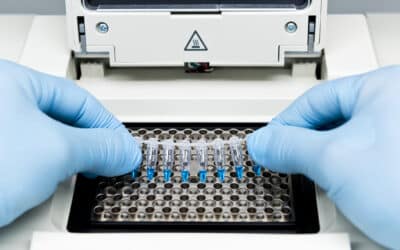 The Impact of Regular Calibration on PCR Machine Performance